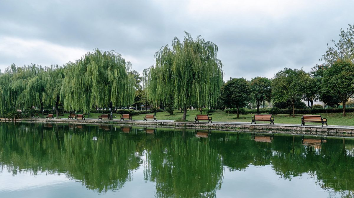 Before - Park Lake